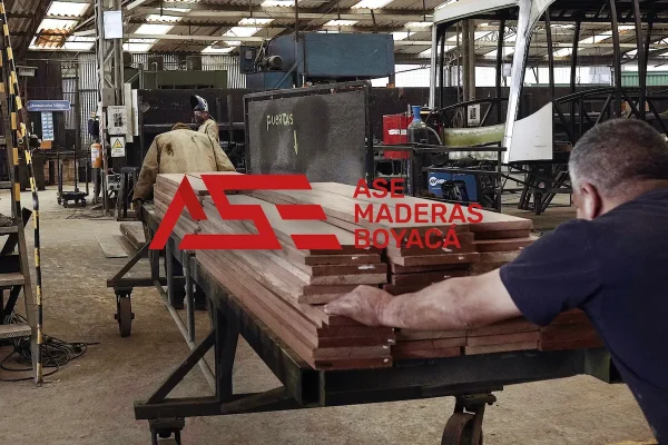 Madera de construcción - Imagen 4
