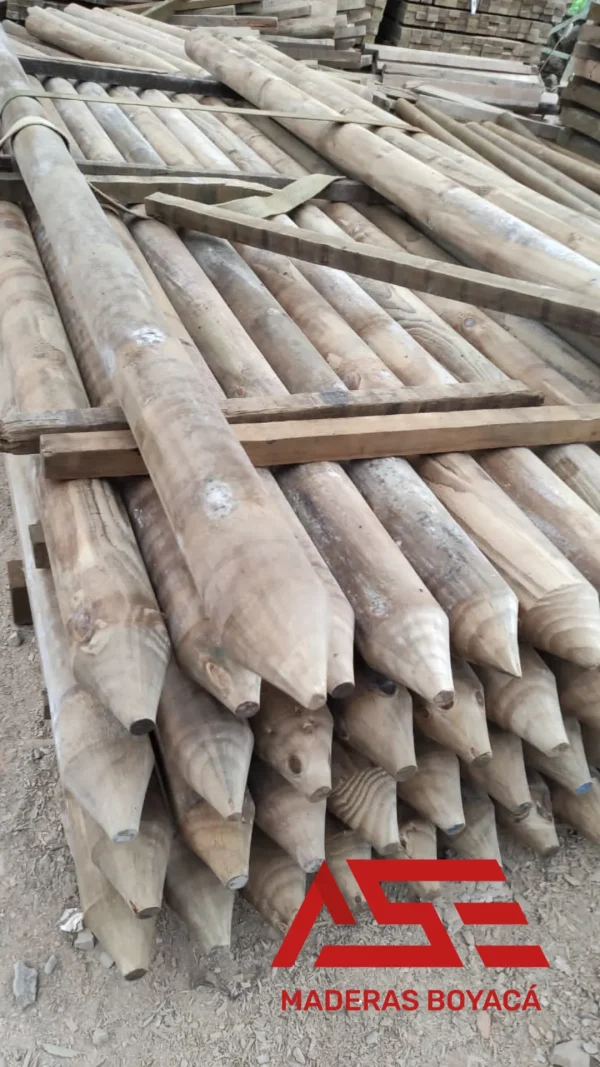 Madera Inmunizada - Imagen 4